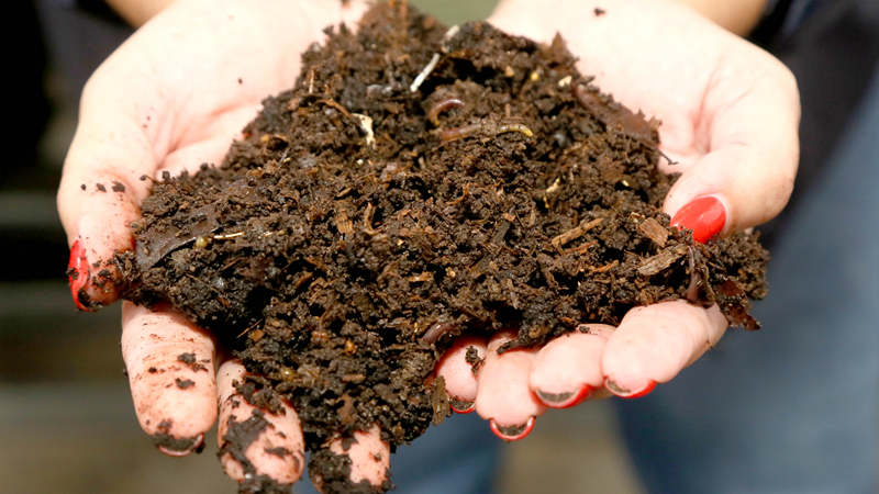 Feira de compostagem leva educação ambiental ao Neumarkt Shopping