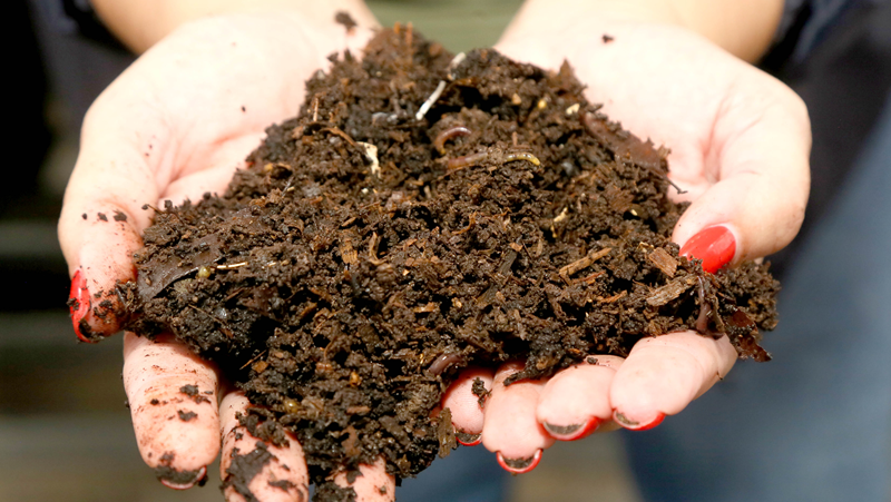 Feira de compostagem leva educação ambiental ao Neumarkt Shopping