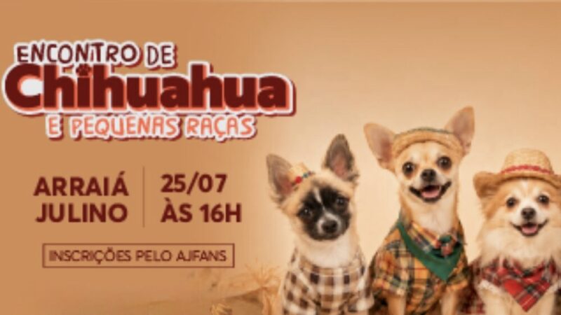 Norte Shopping recebe Encontro de Chihuahua e Pequenas Raças com Arraiá Julino Pet em Blumenau